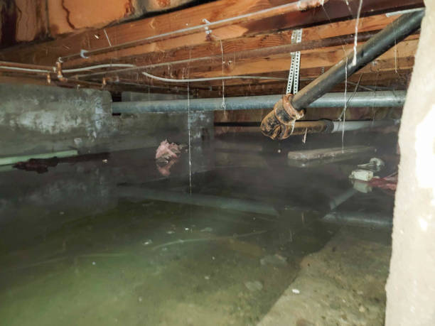 Best Water damage restoration experts  in West Menlo Park, CA