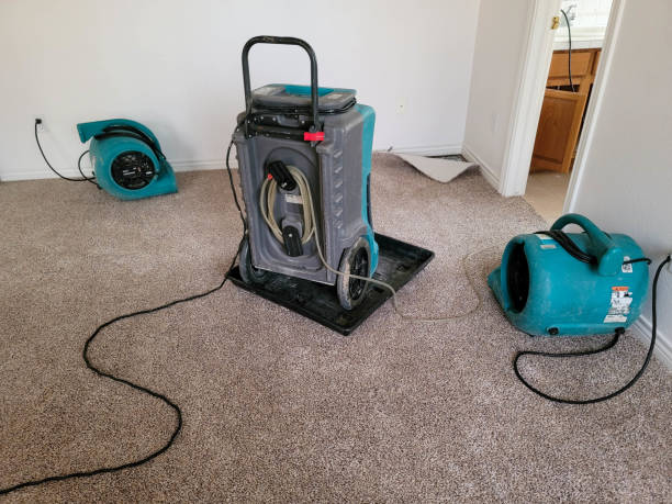 Best Flood damage cleanup  in West Menlo Park, CA