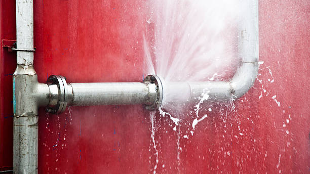 Best Professional water damage repair  in West Menlo Park, CA